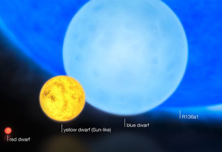 Hình minh họa các loại sao lùn đỏ (ngoài cùng bên trái) lùn vàng (trong đó có mặt trời), lùn xanh và R136a1. Ảnh: National Geographic.