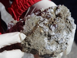 Hòn đá có chứa các siêu vi khuẩn được tìm thấy tại khu vực hồ Diamante. (Nguồn: Reuters)